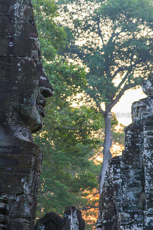 Ta Prohm Temple -柬埔寨